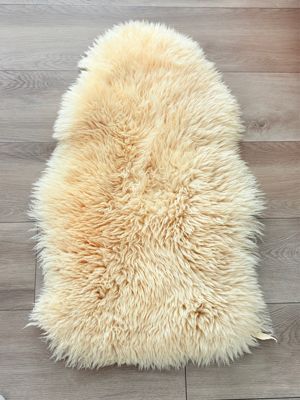 SURYA Sheepskin Accent Rug 2x3
